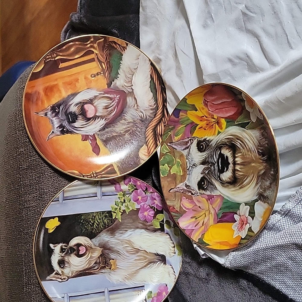 Schnauzer limited edition plates